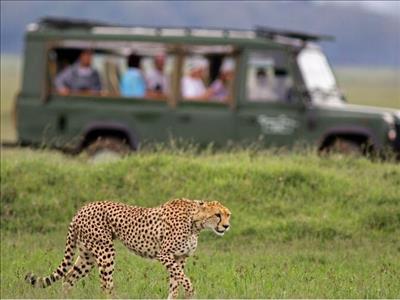 Süper Promo Güney Afrika Safari Turu Rotası (thy İle 6 Gece)