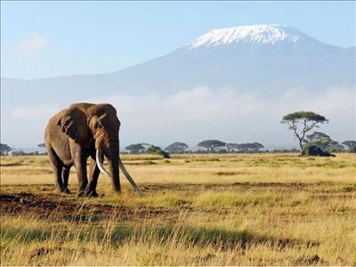 Görkemli Güney Afrika Ve Safari 7 Gece Thy İle 30 Mart (ramazan Bayramı Özel)