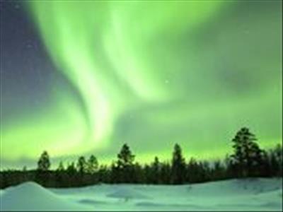 Yılbaşı Lapland Husky Ve Ren Geyiği Safari Dahil