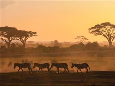 Görkemli Güney Afrika Ve Safari 7 Gece Thy İle 01 Haziran (kurban Bayramı Özel)