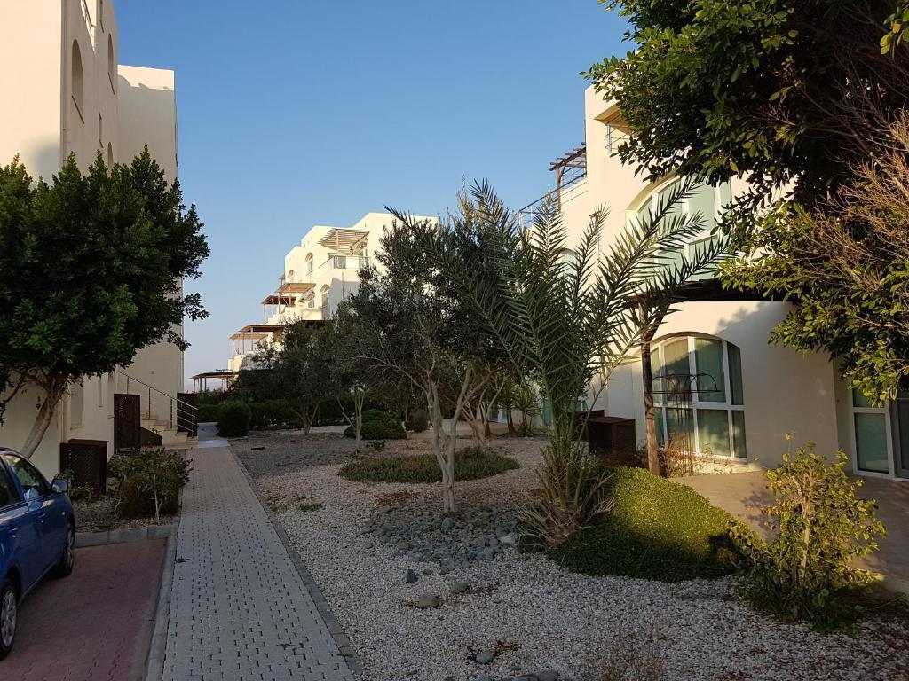 Aphrodite Beachfront Penthouse Apartment