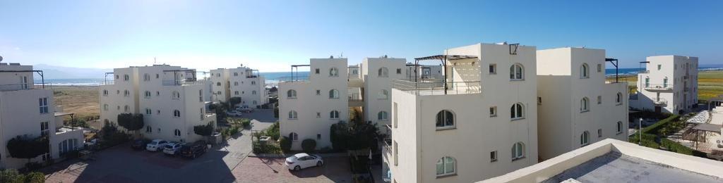 Aphrodite Beachfront Penthouse Apartment