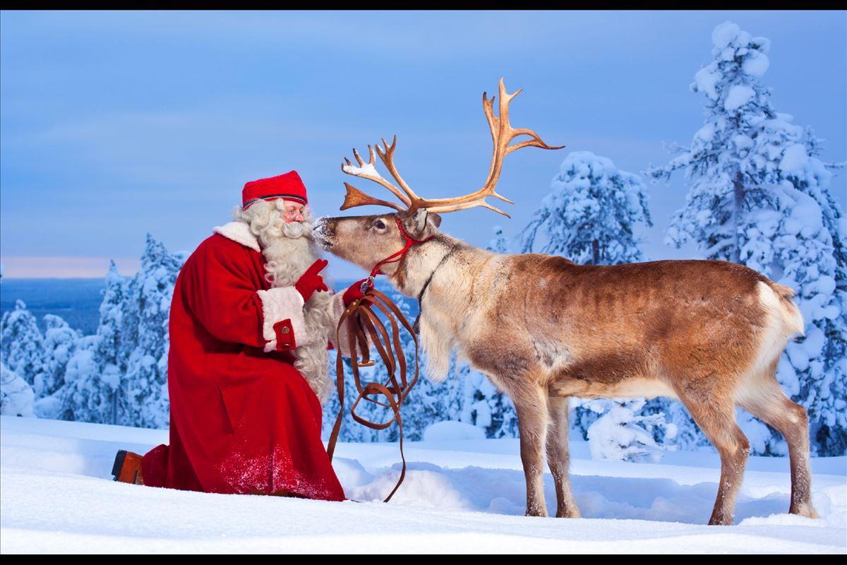 Kuzey Isiklari Lapland Turu