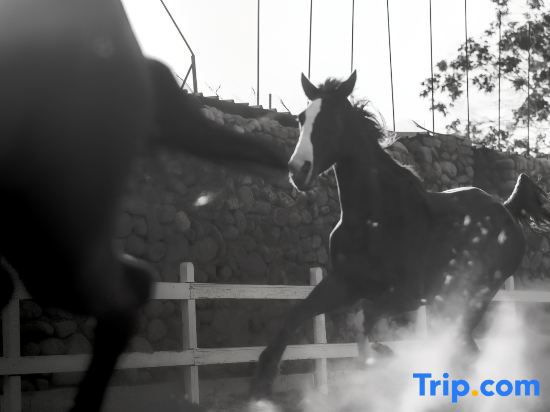 Concorde El Salam Hotel Sharm El Sheikh By Royal Tulip galeri fotoğrafı