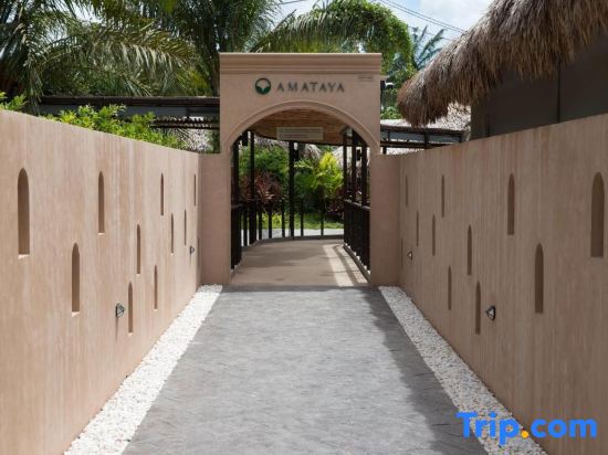 Amataya Wellness