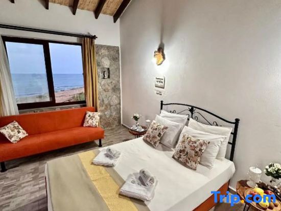 Ardic Agaci Tatil Koyu galeri fotoğrafı