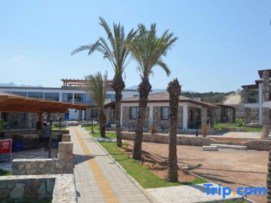 Ardic Agaci Tatil Koyu galeri fotoğrafı
