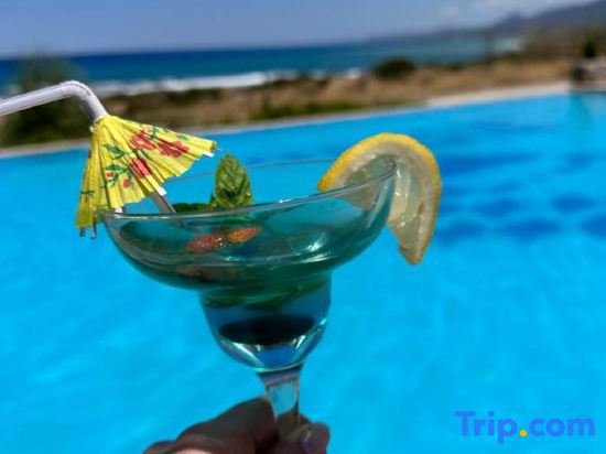 Ardic Agaci Tatil Koyu fotoğrafı