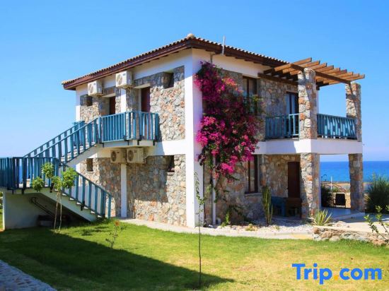 Ardic Agaci Tatil Koyu galeri fotoğrafı