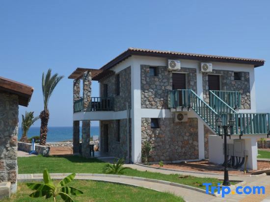 Ardic Agaci Tatil Koyu fotoğrafı