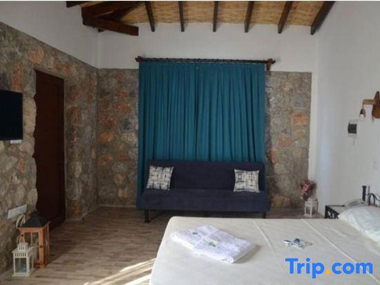 Ardic Agaci Tatil Koyu fotoğrafı