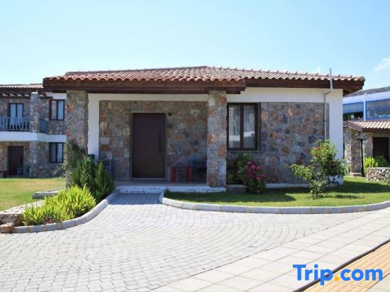 Ardic Agaci Tatil Koyu galeri fotoğrafı