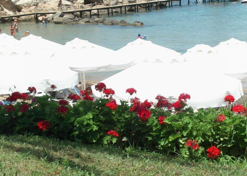 Denizkizi Hotel & Royal
