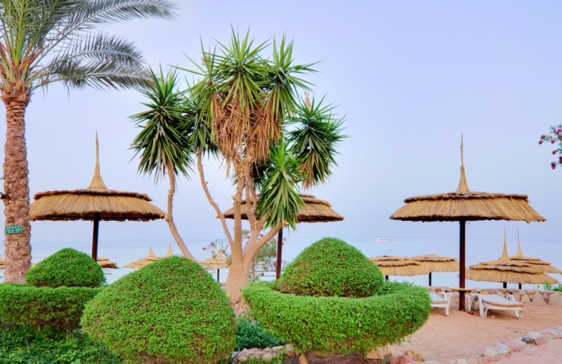 Pickalbatros Royal Grand Resort Sharm El Sheikh galeri fotoğrafı