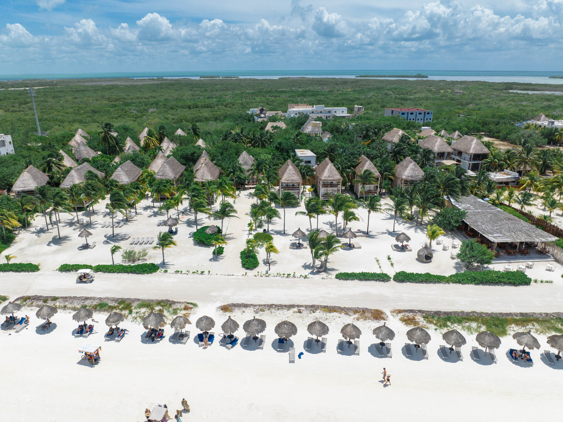 Blue Holbox