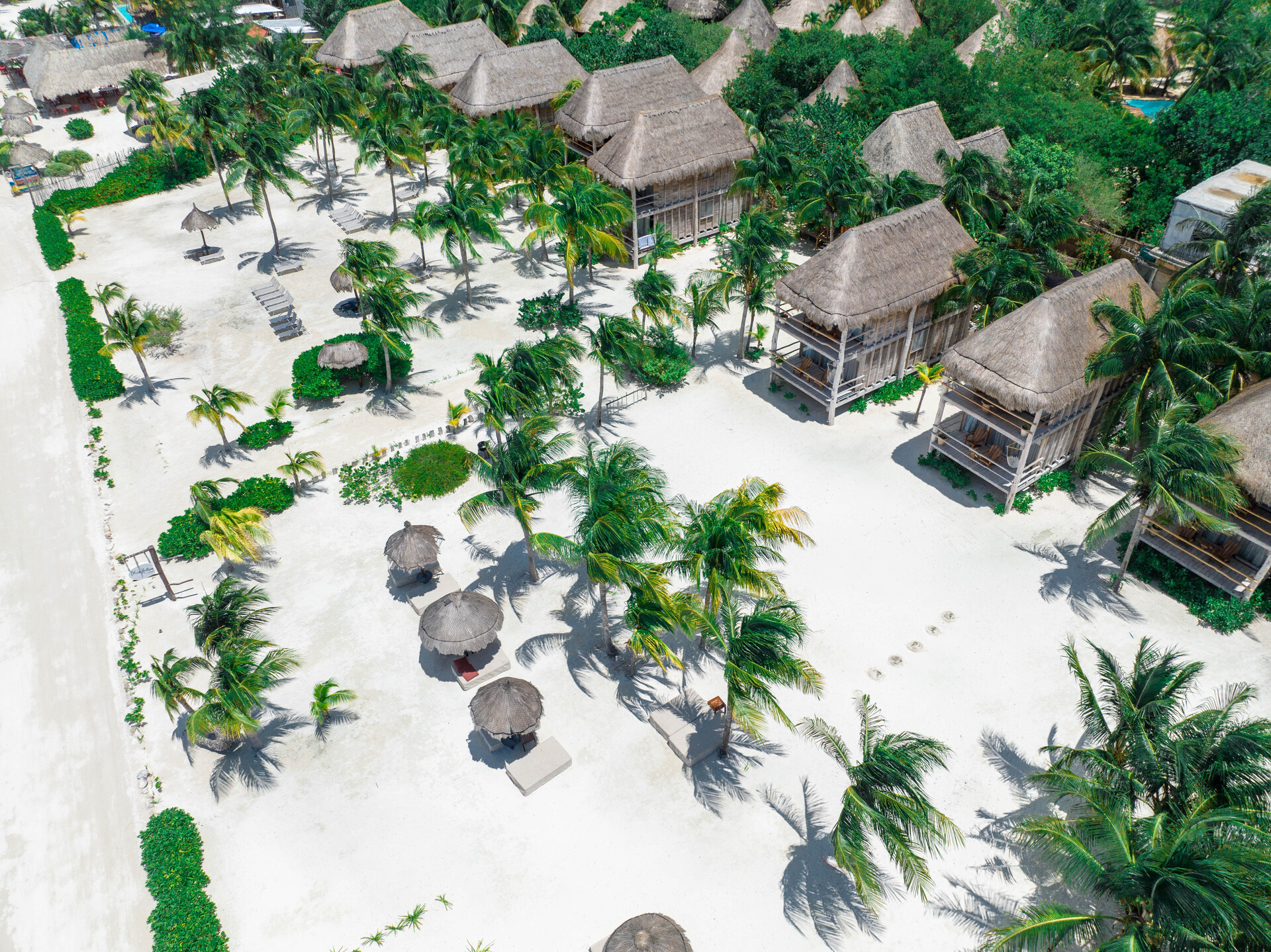 Blue Holbox