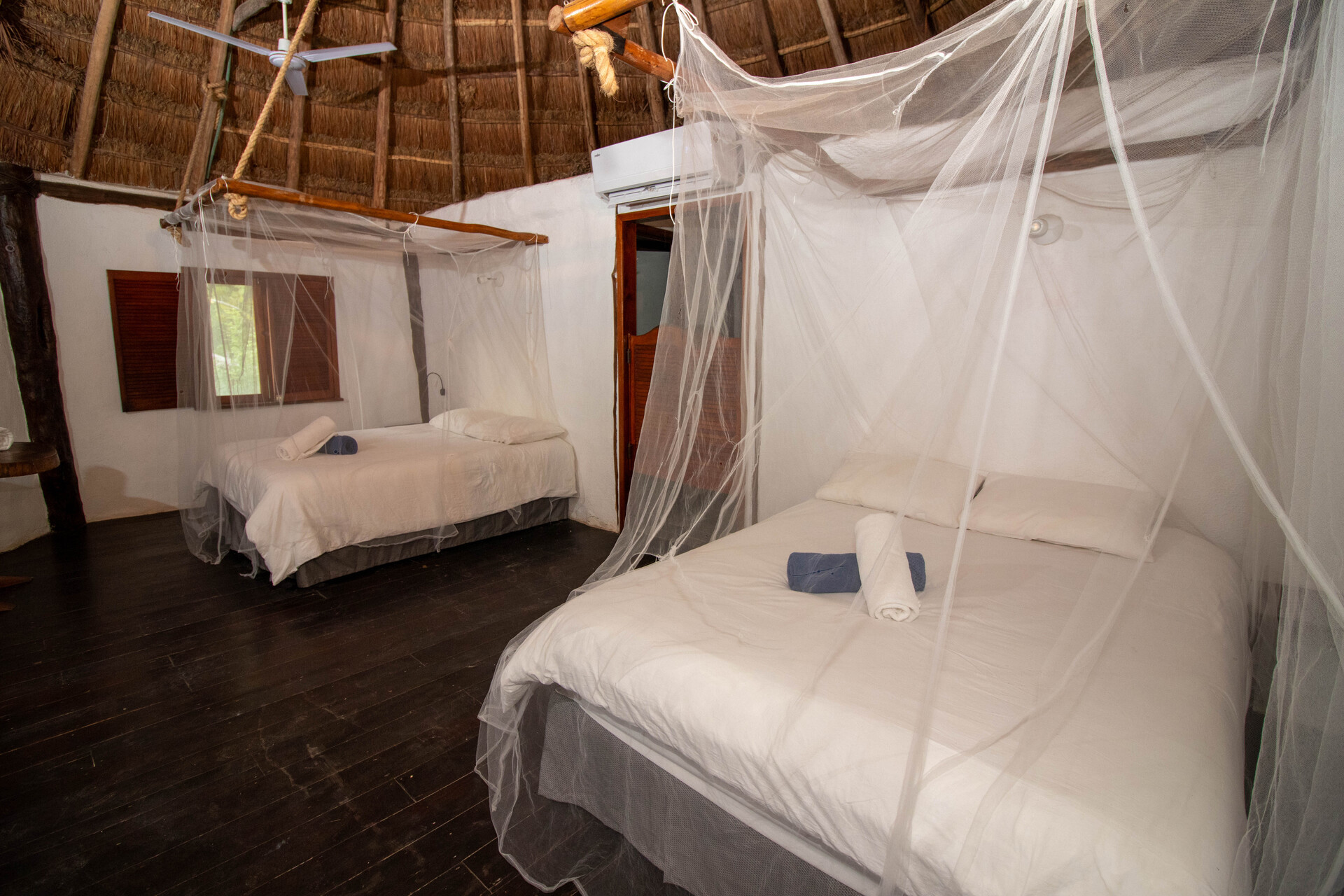Blue Holbox