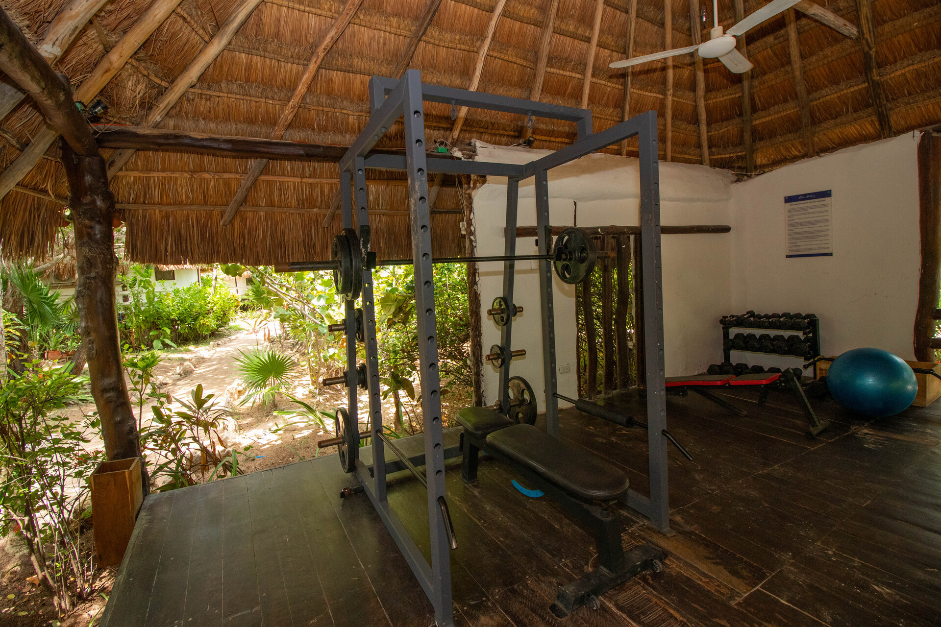 Blue Holbox