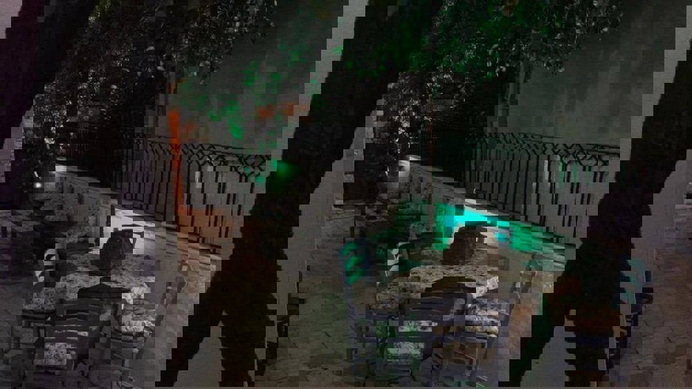 Dalyan Butik Otel Hayat Bahcesi