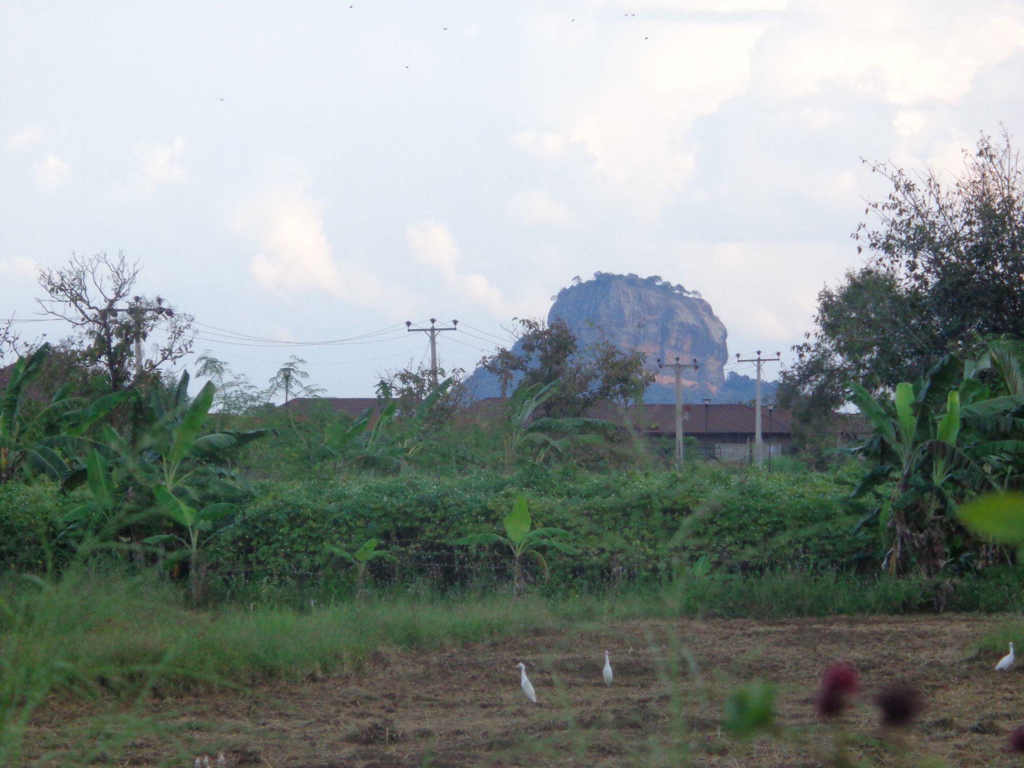 Sigiriya Vista