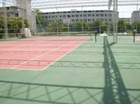 Daima Biz Hotel - All Inclusive