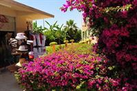 Daima Biz Hotel - All Inclusive