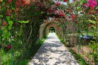 Daima Biz Hotel - All Inclusive