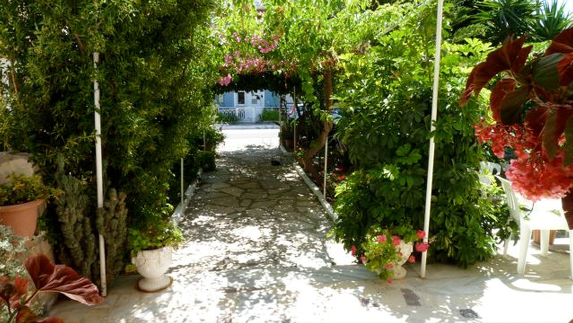 Hotel Niki galeri fotoğrafı
