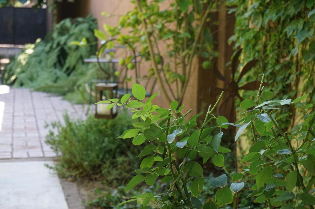 Casa Lila Bed & Breakfast