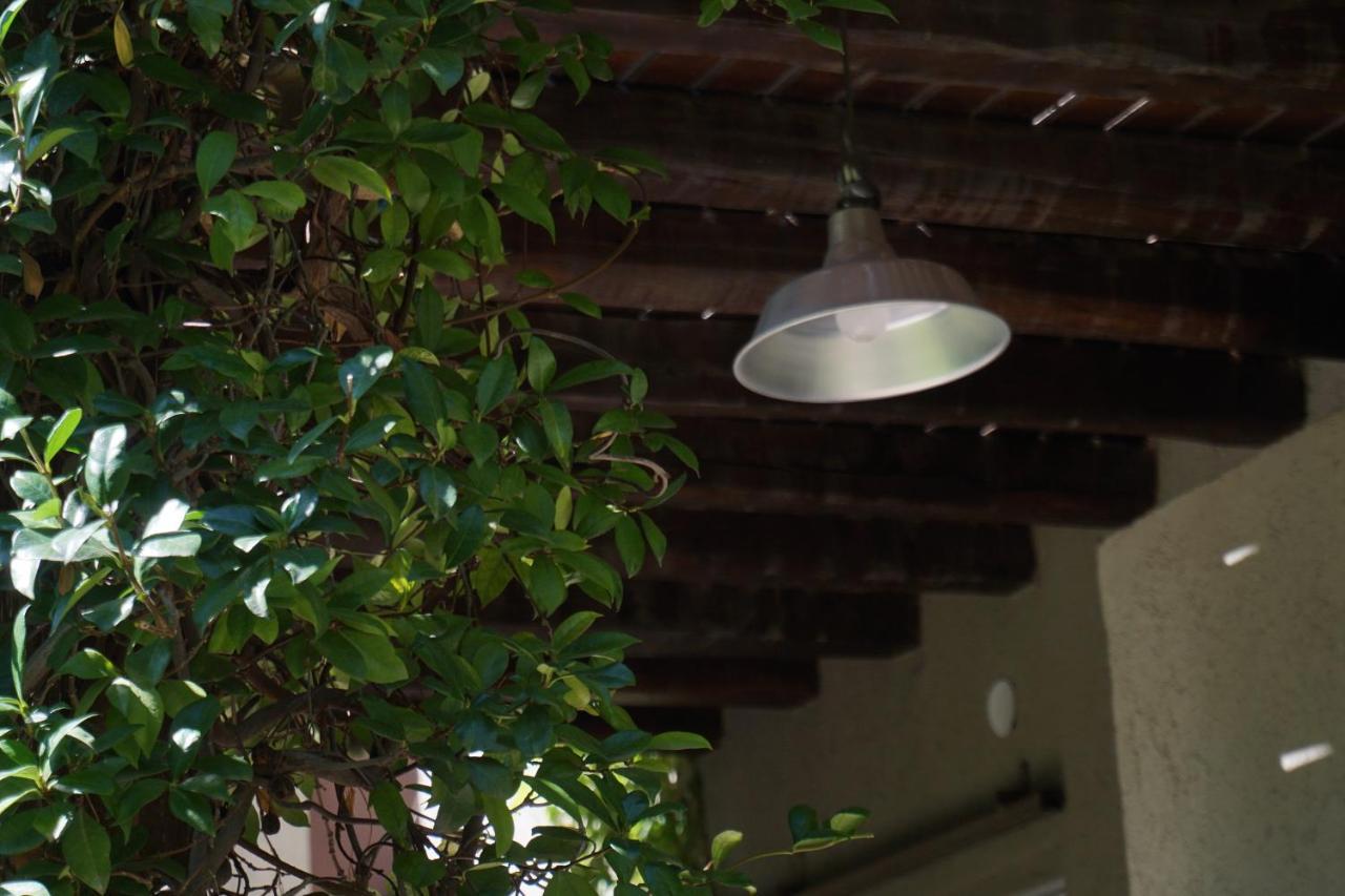 Casa Lila Bed & Breakfast