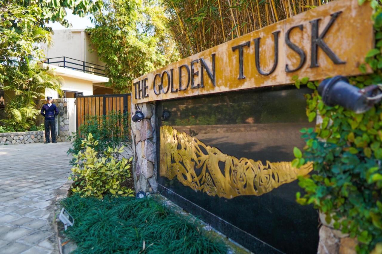 Golden Tusk