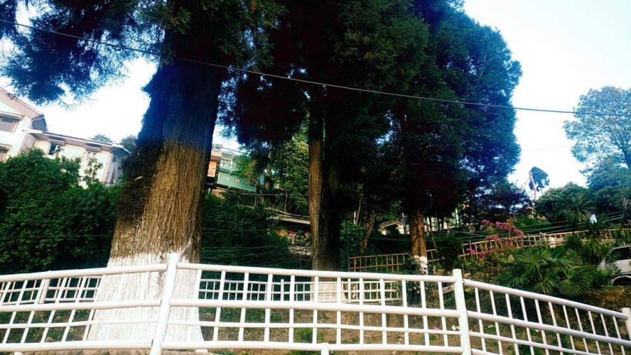 Arcadia Heritage Resort