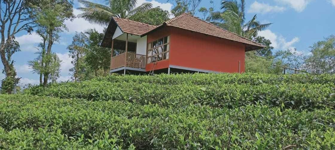 Jungle Edge Resort