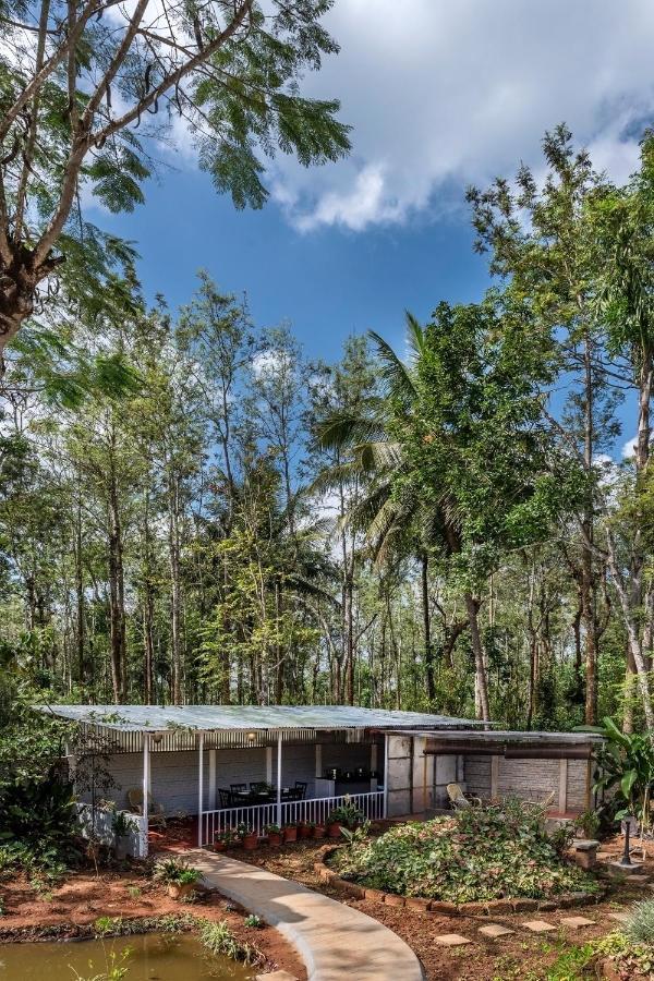Calamondinn Bungalow