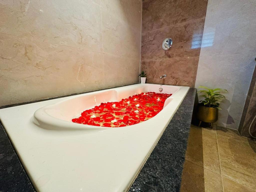 Aananda Wellness And Resorts