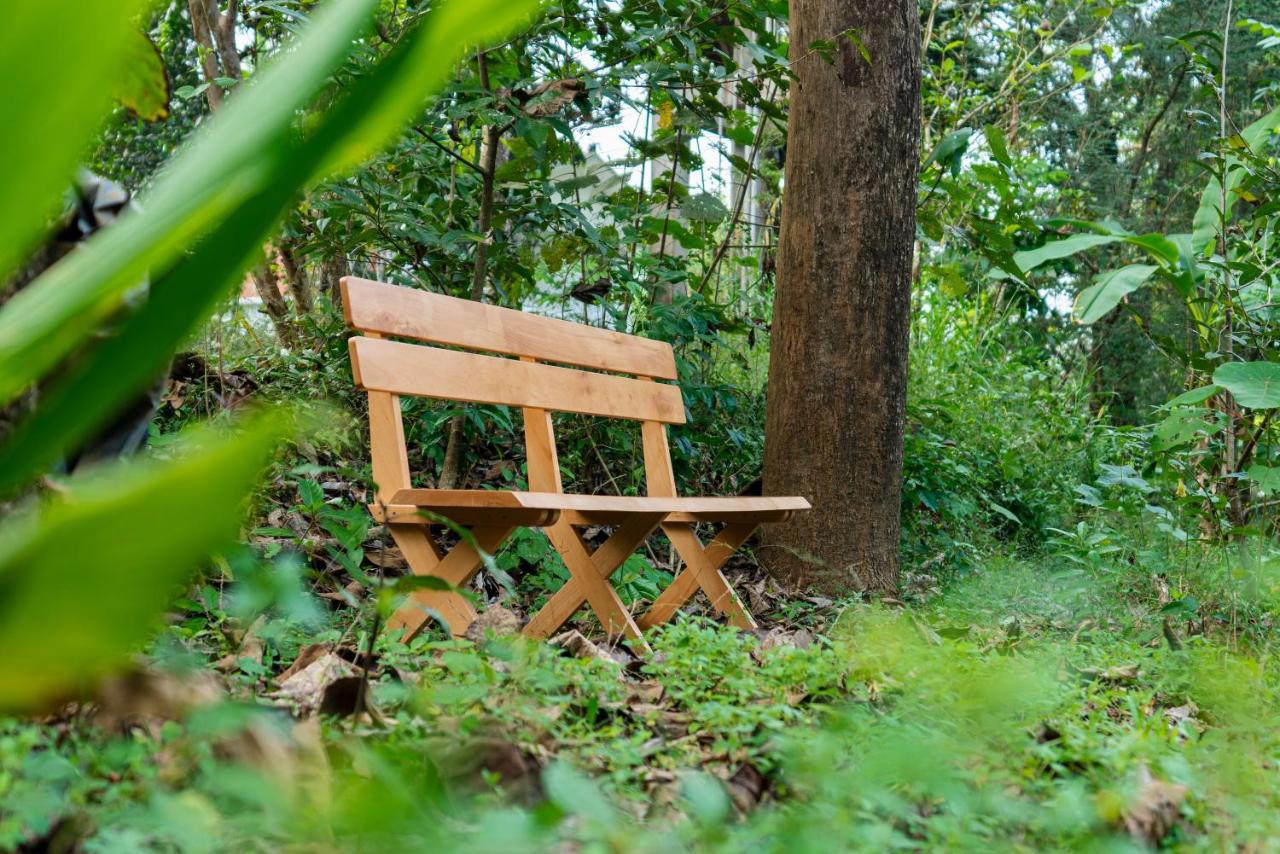 Saffronstays Amaya, Kannur - 300 Years Old Heritage Estate For Families And Large Groups