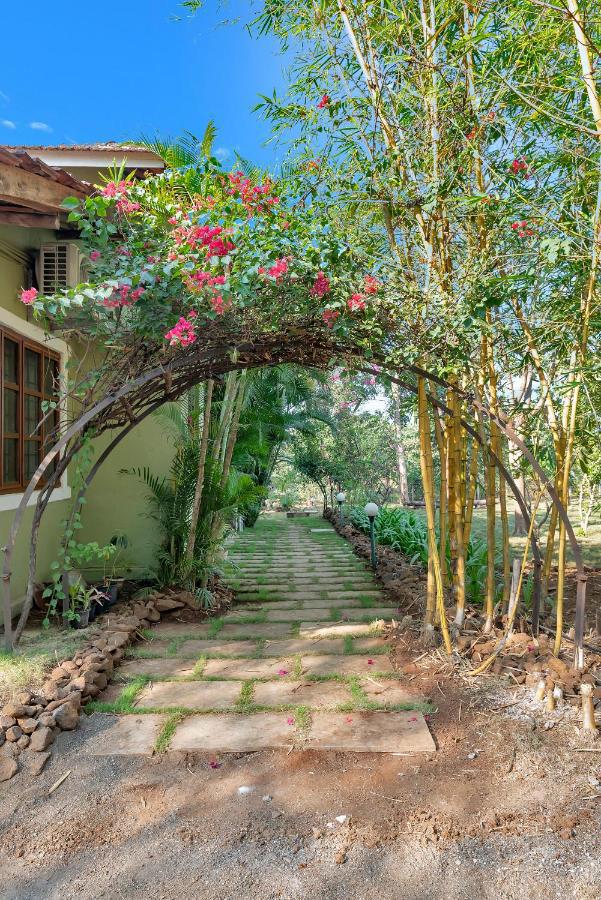 Saffronstays Laburnum House, Wada