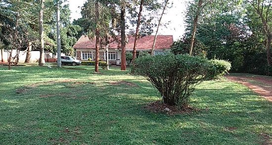 Home Stay Studio 62 Guesthouse