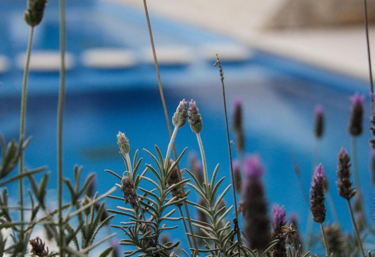 Apart Hotel Carilo Hills