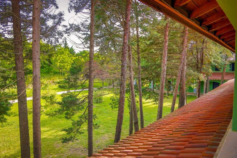Durusu Club Hotel