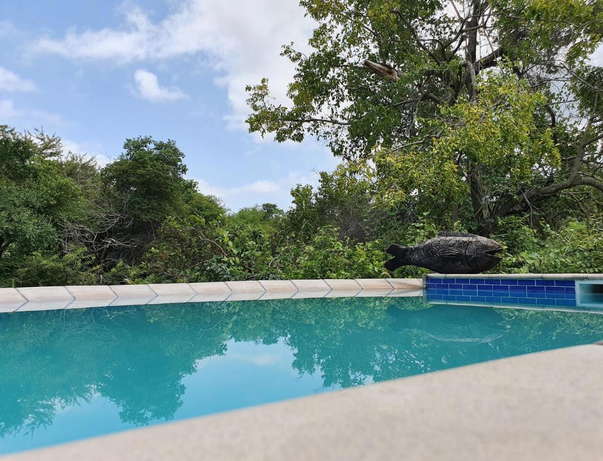 Kingfisher Creek Safari Lodge