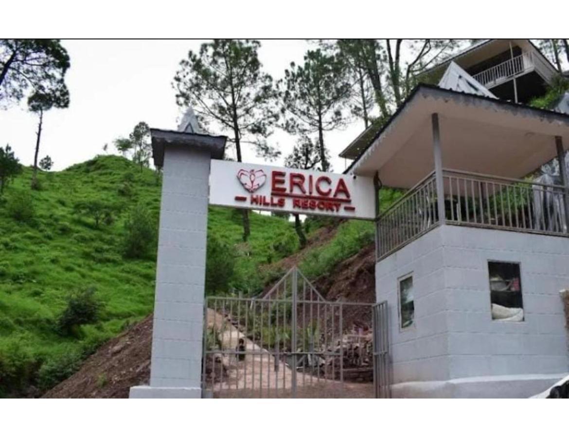 Erica Hills Resort Kasauli