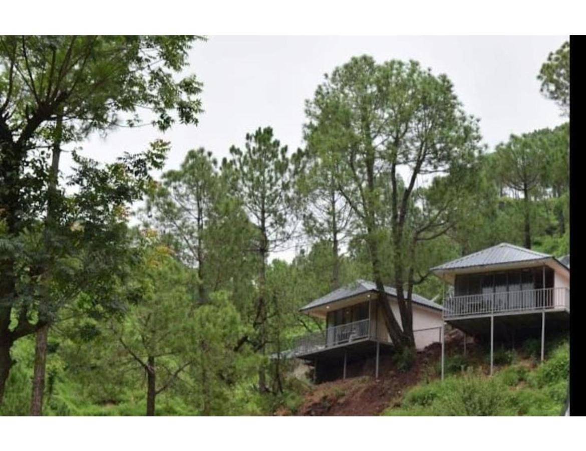 Erica Hills Resort Kasauli