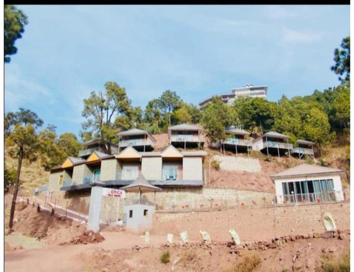 Erica Hills Resort Kasauli