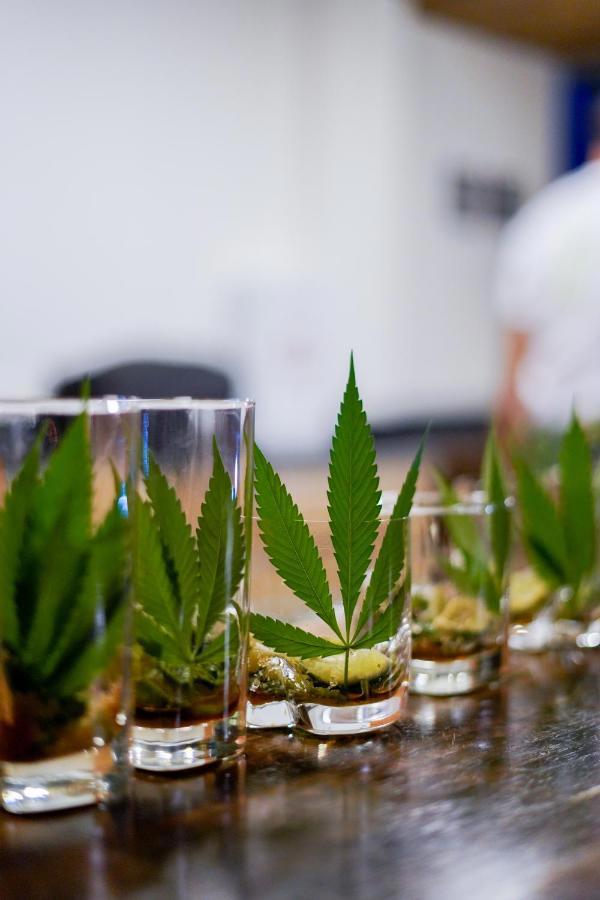 Cannatel Exclusive Hotel