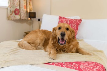 Best Western Fowey Valley