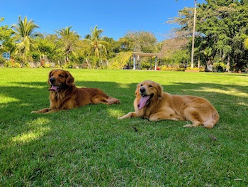 Puerto De Luna Pet Friendly & Family Suites Hotel