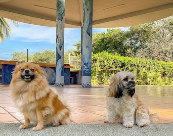 Puerto De Luna Pet Friendly & Family Suites Hotel