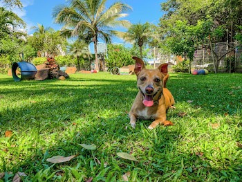 Puerto De Luna Pet Friendly & Family Suites Hotel