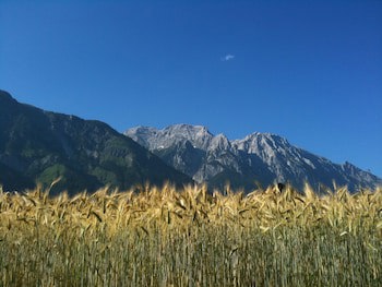 Austria Classic Heiligkreuz